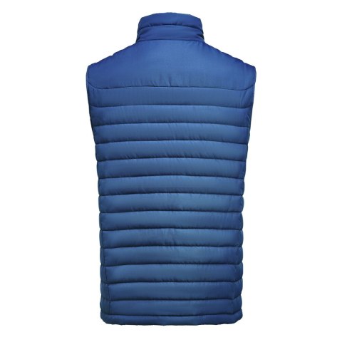 ARCHES VEST