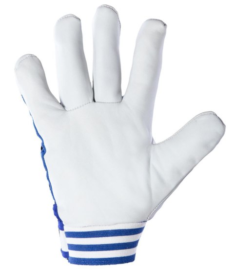CABRA BLUE KAT. II - __ 11