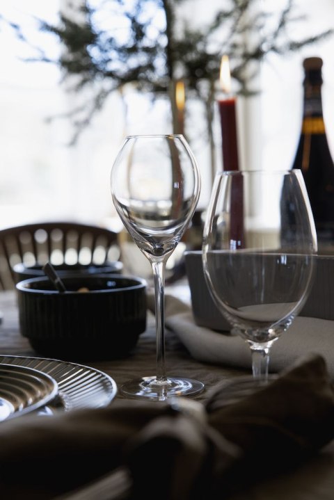 Kieliszek do szampana SAGA GLASS 20CL 2-szt, transparentny