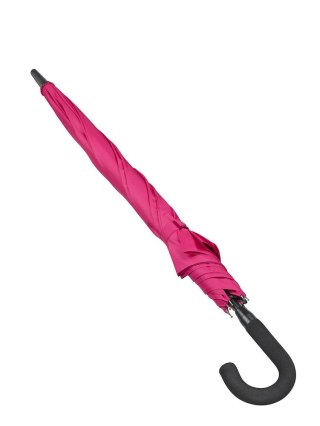 Parasol Cirrus