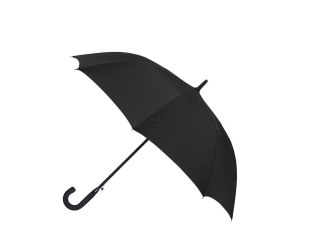 Parasol Cirrus