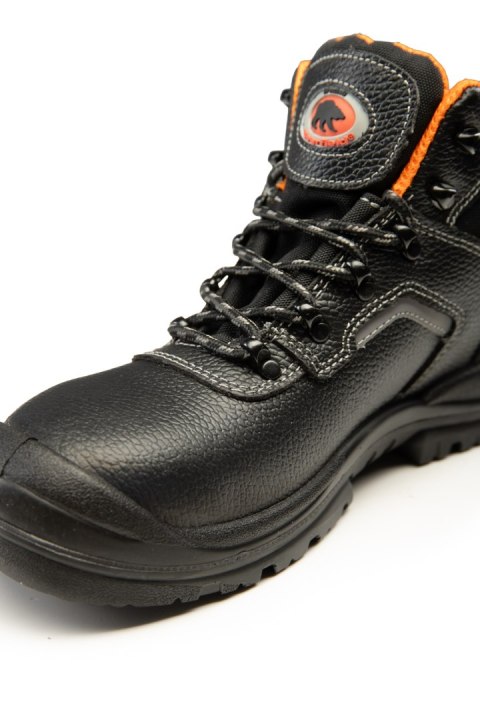 TRZEWIK R02 S3 SRC - __ 36