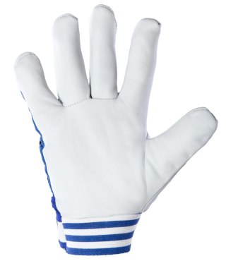 CABRA BLUE KAT. II - __ 8