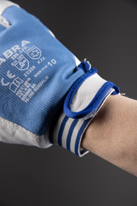 CABRA BLUE KAT. II - __ 8