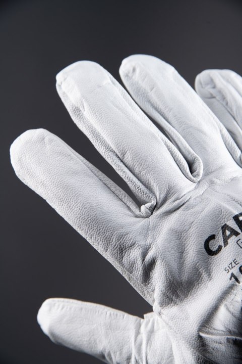 DRIVE SKÓRA BYDLĘCA - __ 9