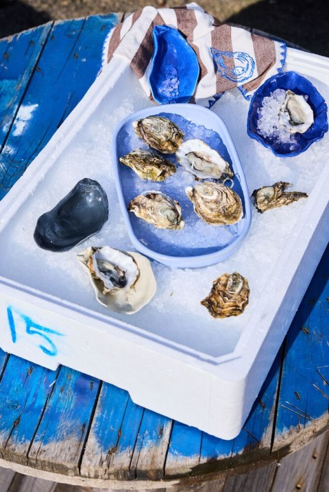 Ręcznik kuchenny BUBBA OYSTER, 2-szt, brązowy